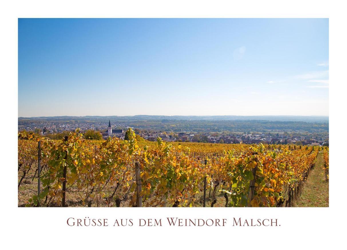 Gasthaus Zur Rose Malsch  Exteriér fotografie