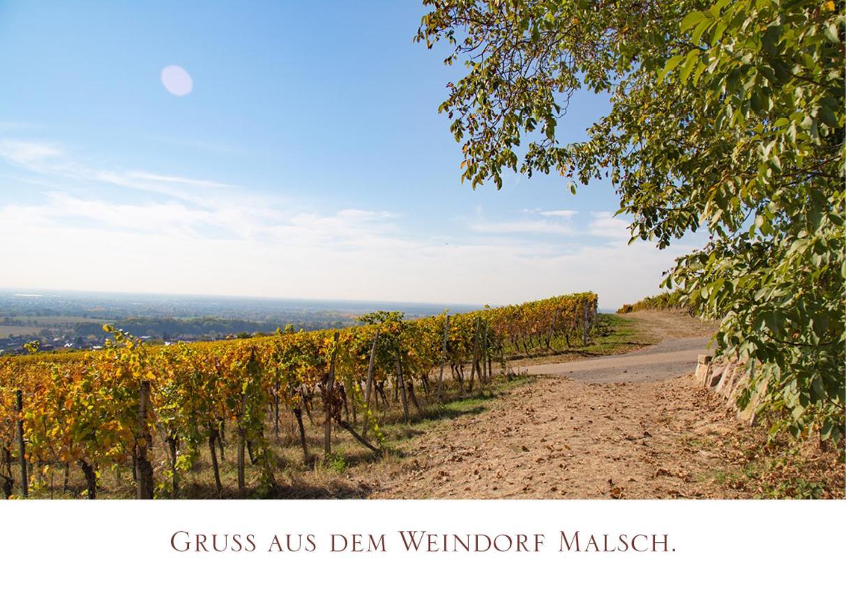 Gasthaus Zur Rose Malsch  Exteriér fotografie